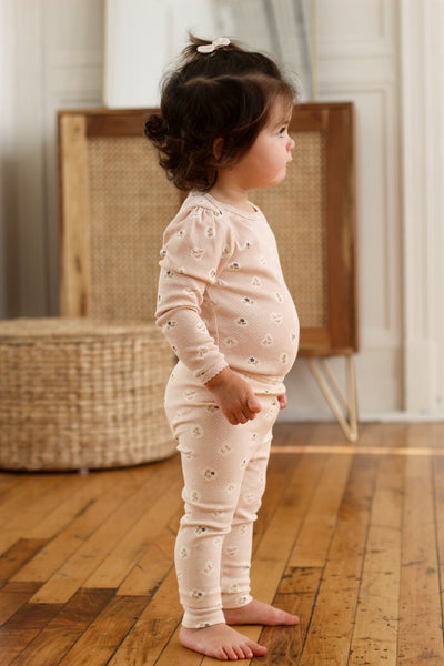 Baby Stretch Legging – Soor Ploom