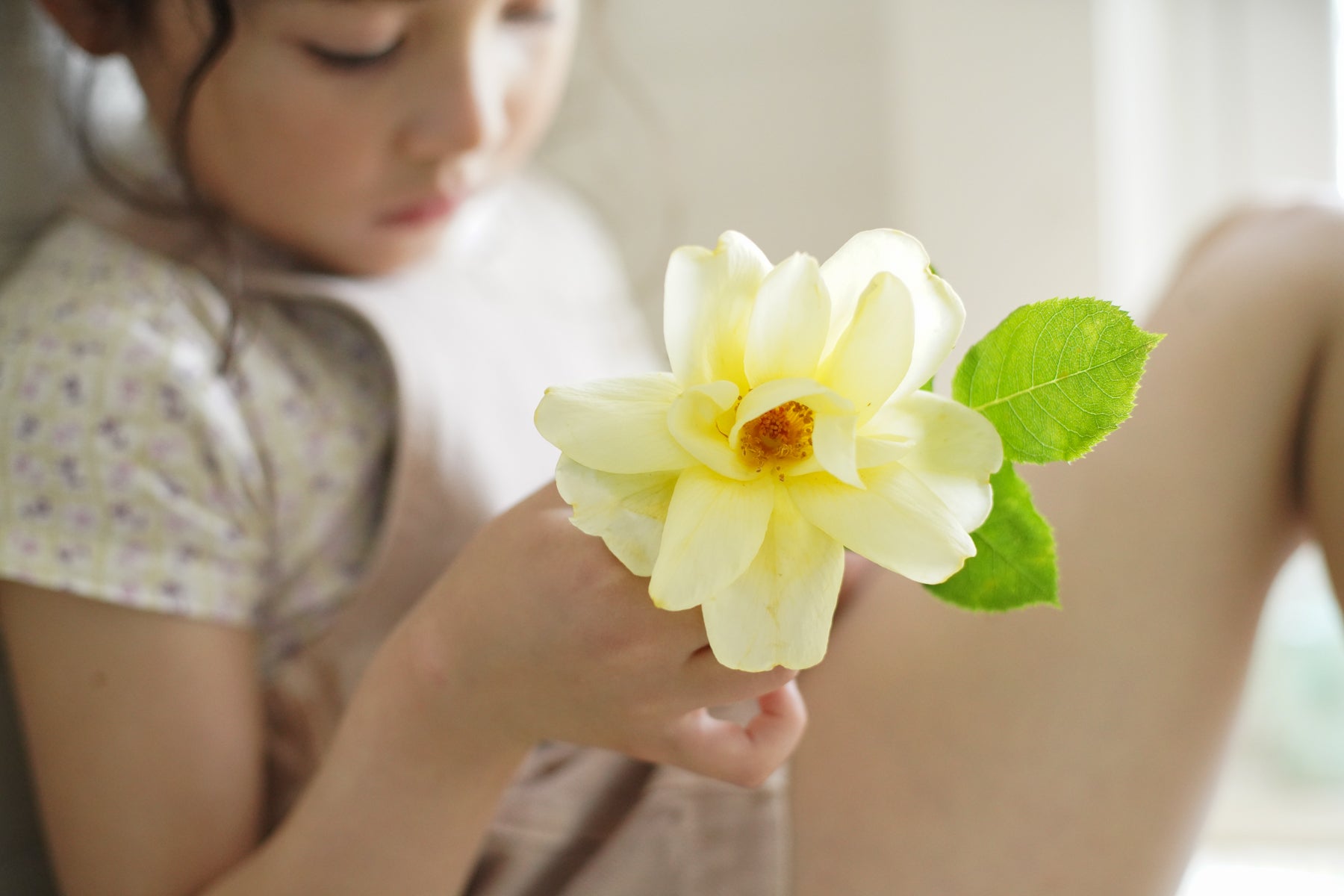 Flower Press Print, Soy