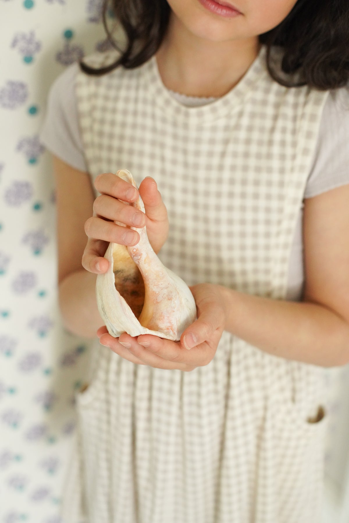 Gingham Print, Cloud