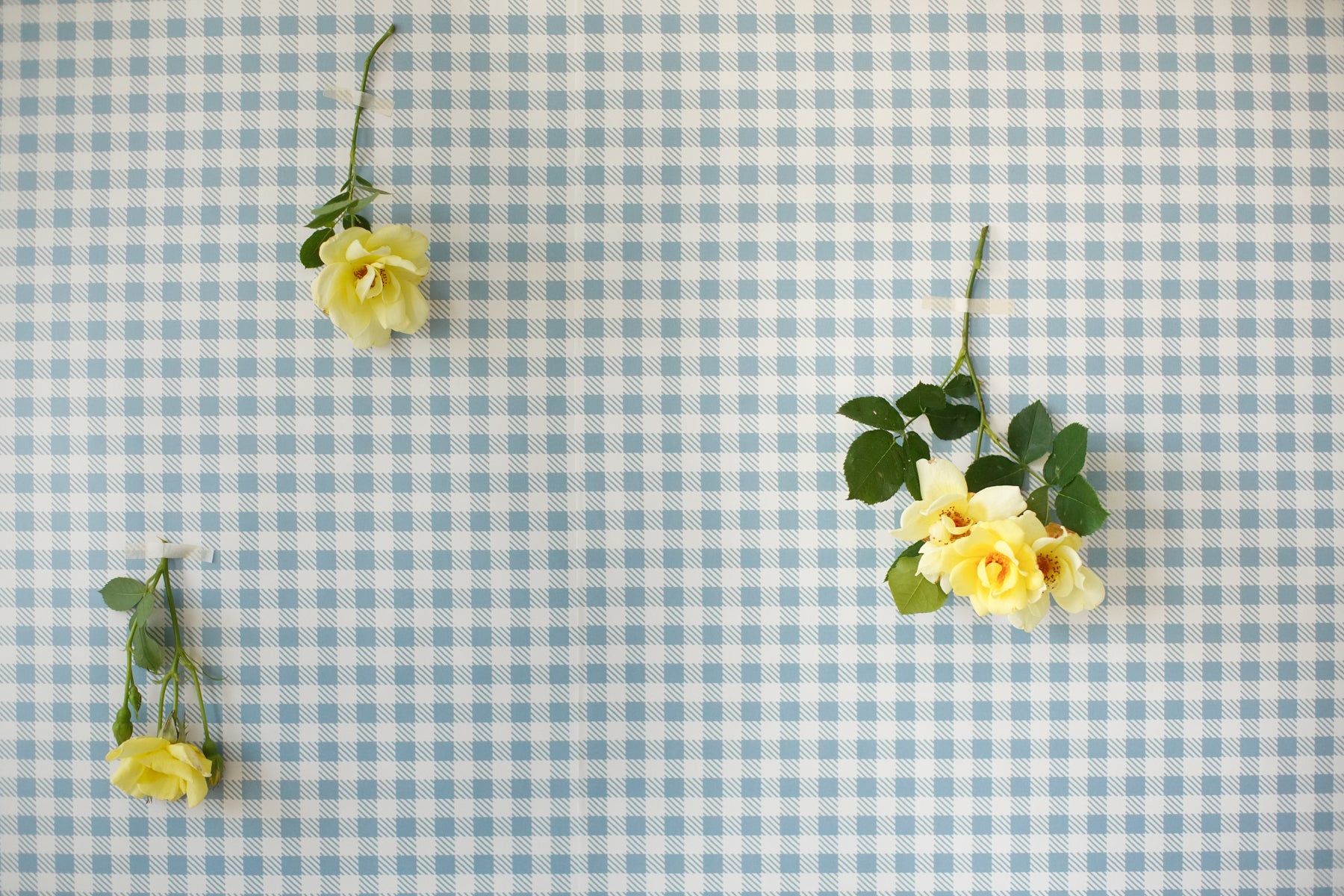 Flower Press Print, Azul