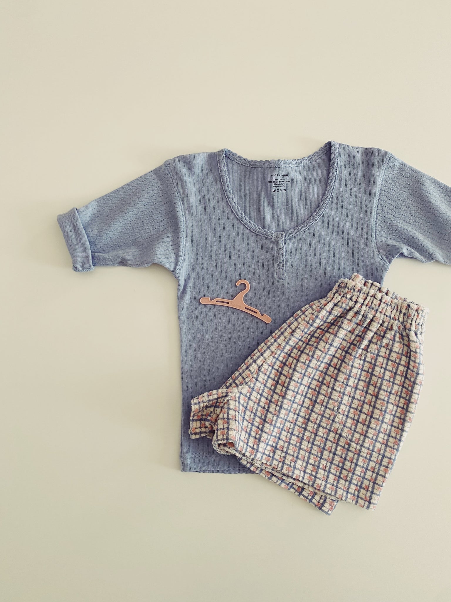 Checker Rose Print, Blueberry