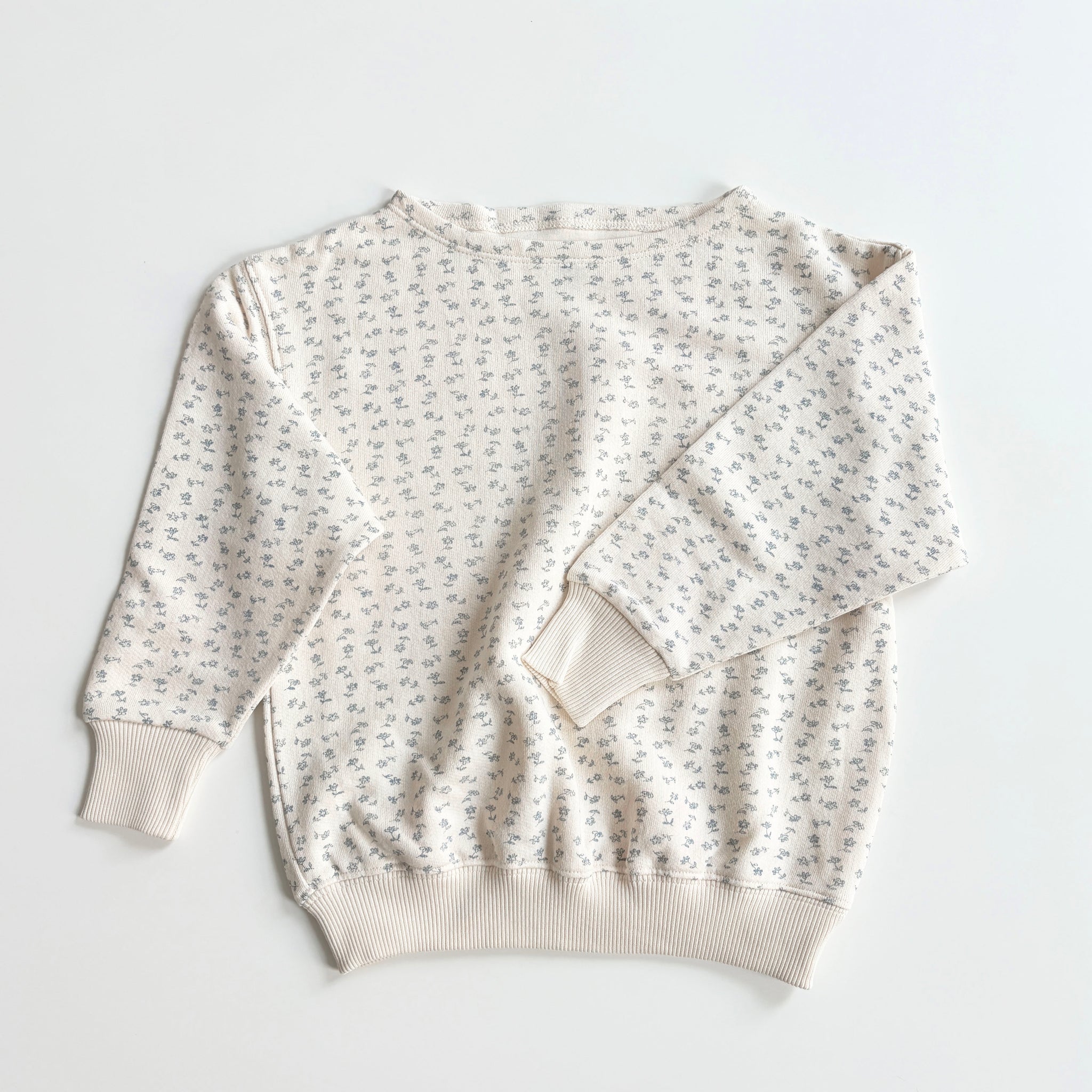 Seaside Sweatshirt, Chicweed Print, Azul, Size 6