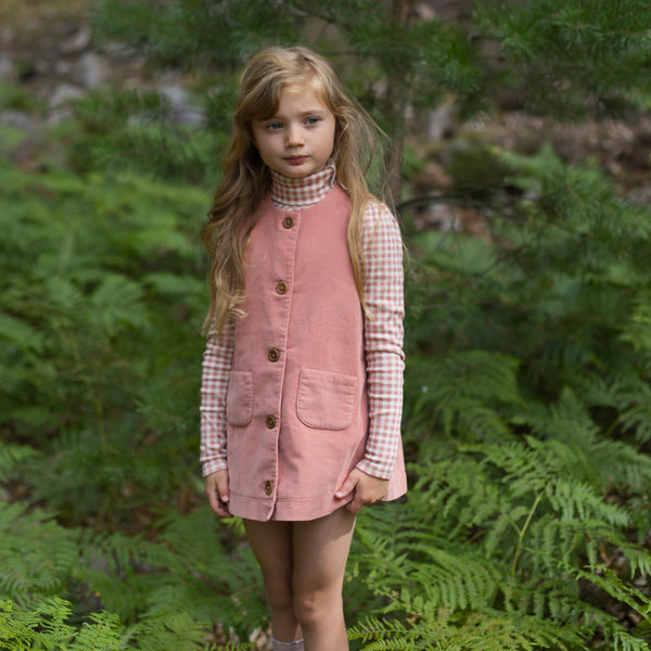 Twiggie Dress, Ladybird