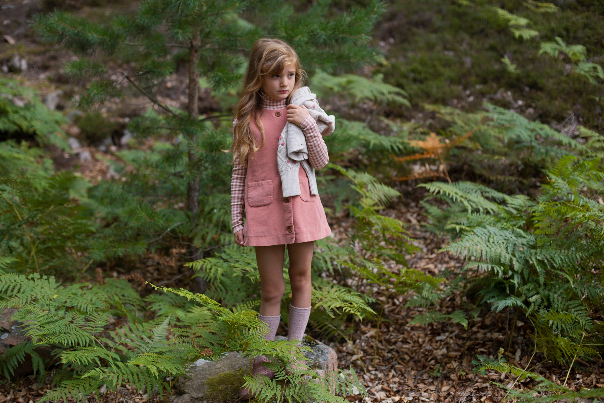 Linen / Ladybird