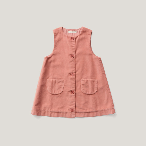 Twiggie Dress, Ladybird