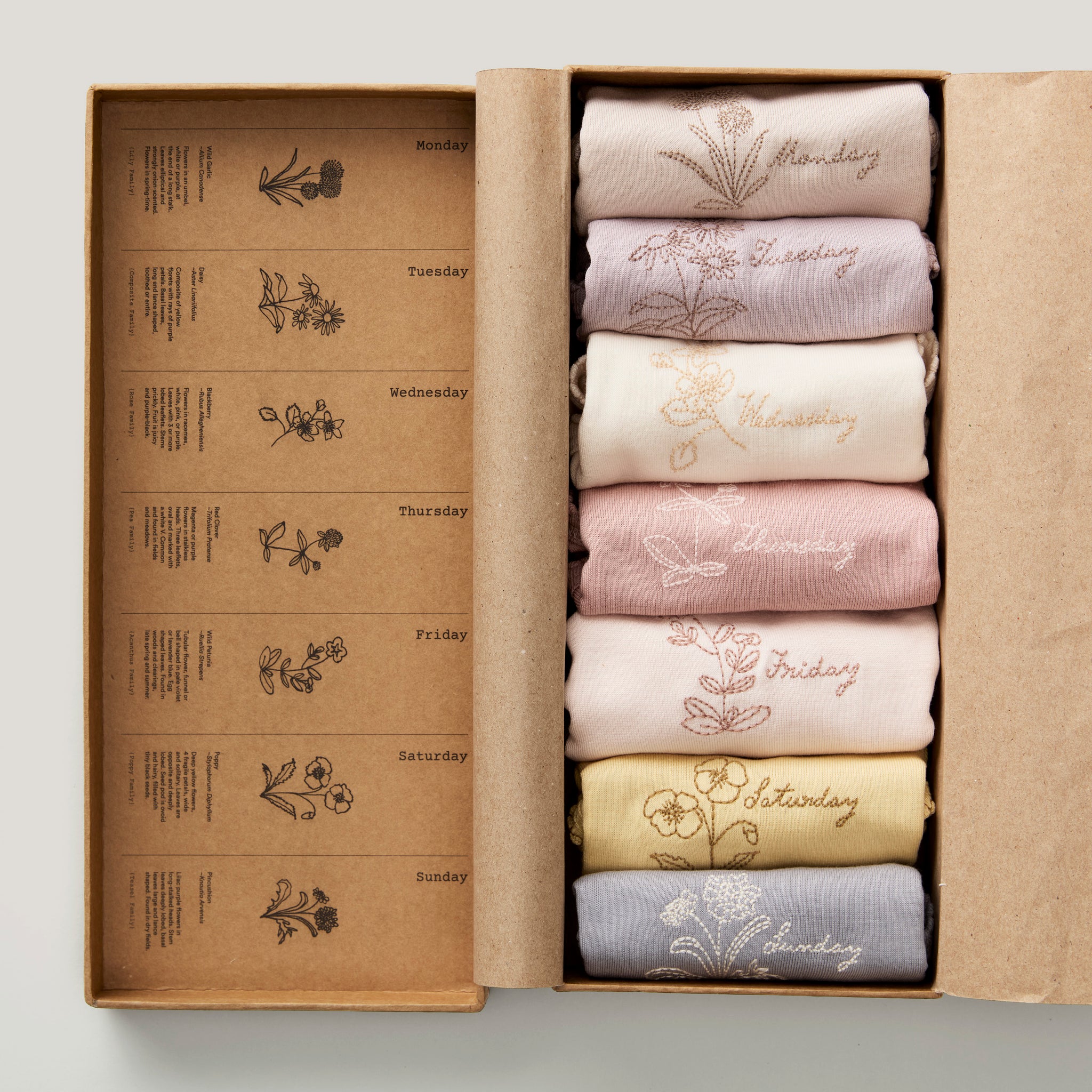 Days of the Week Underwear Set