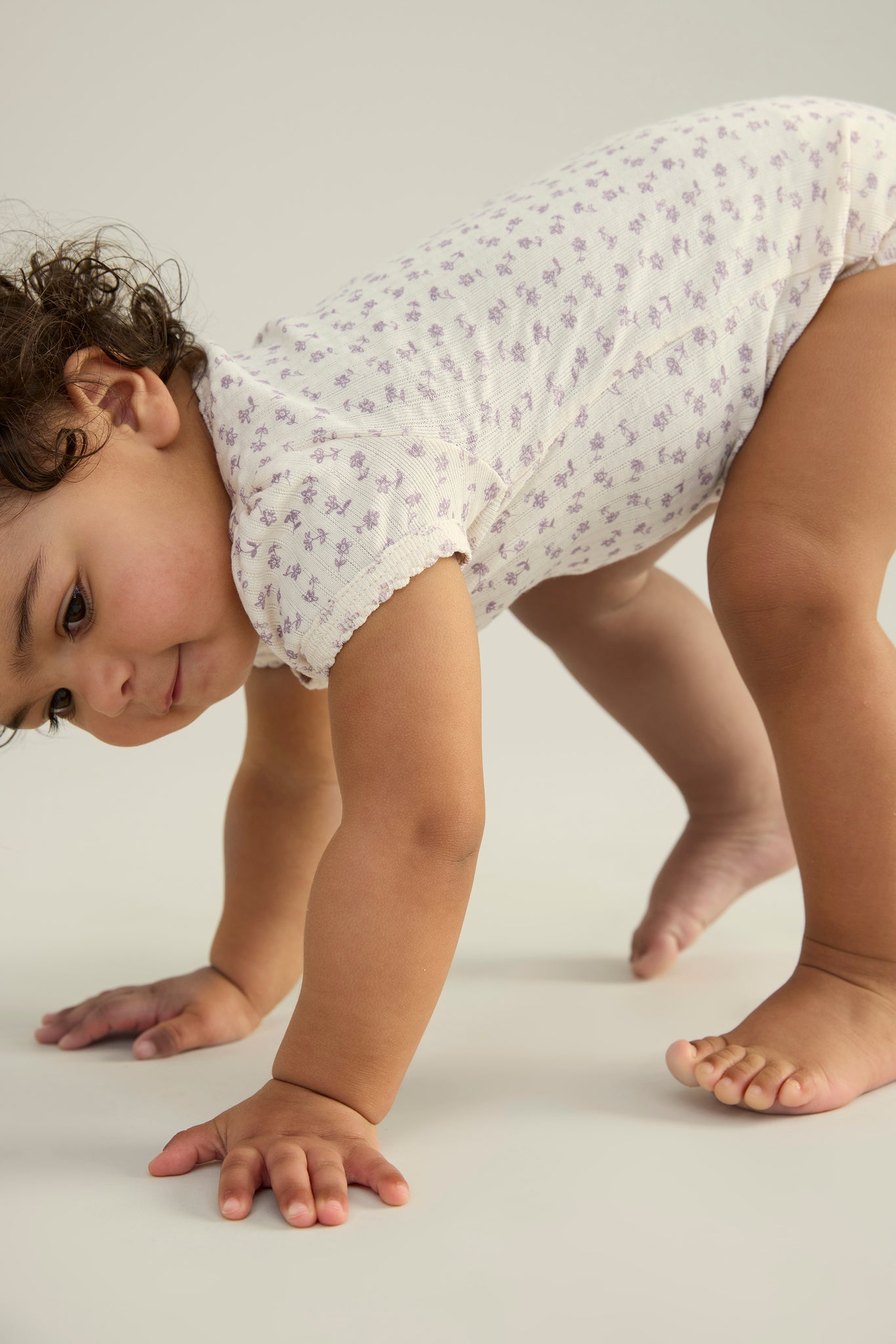 Chicweed Print Pointelle, Pansy / Gingham Print, Bubble