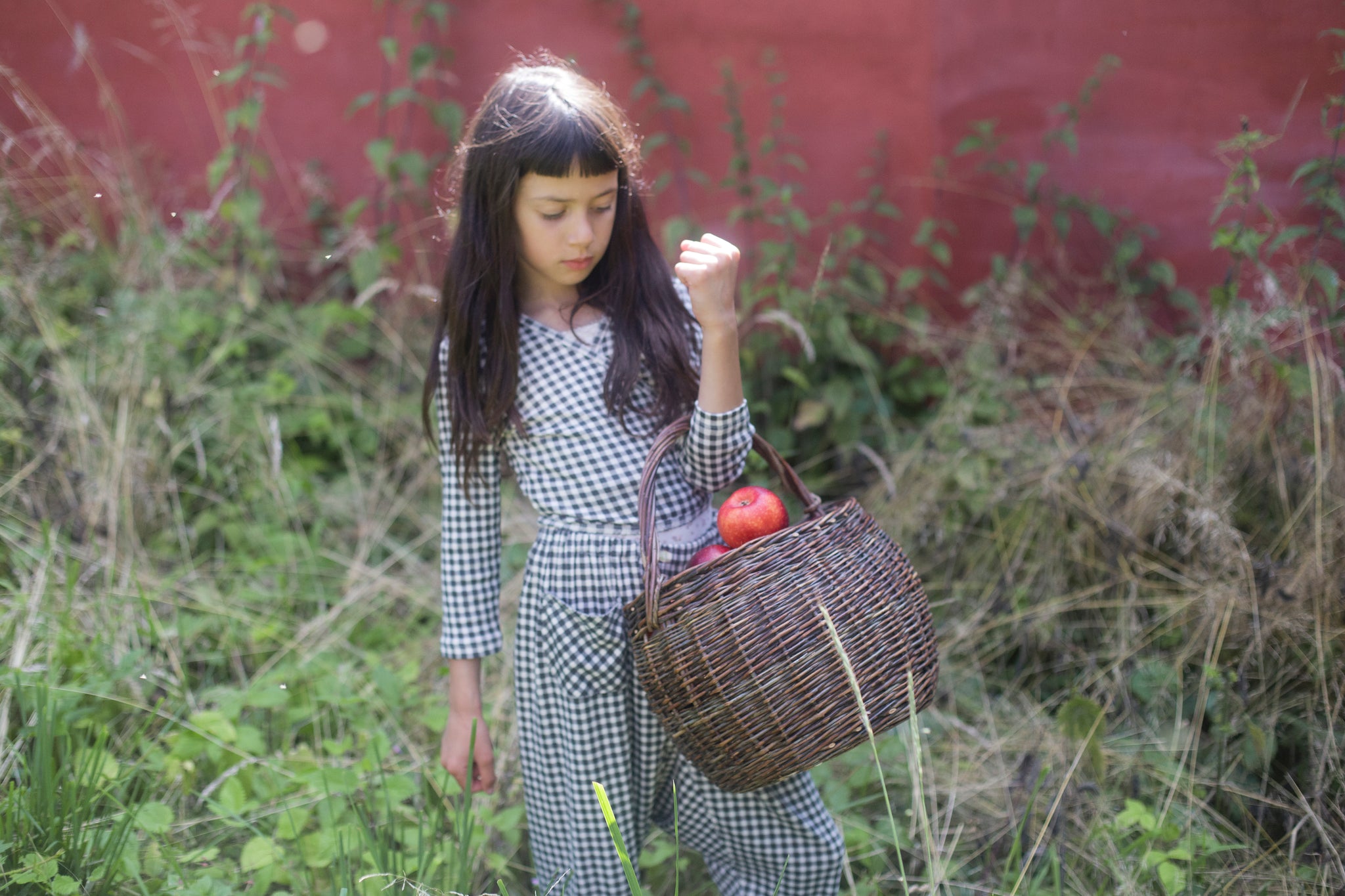 Gingham Print, Shale